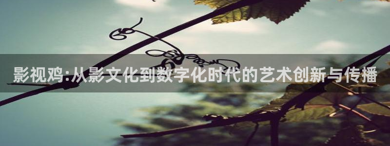 好看影院在線觀看：影視雞:從影文化到數(shù)字化時(shí)代的藝術(shù)創(chuàng)新與傳播